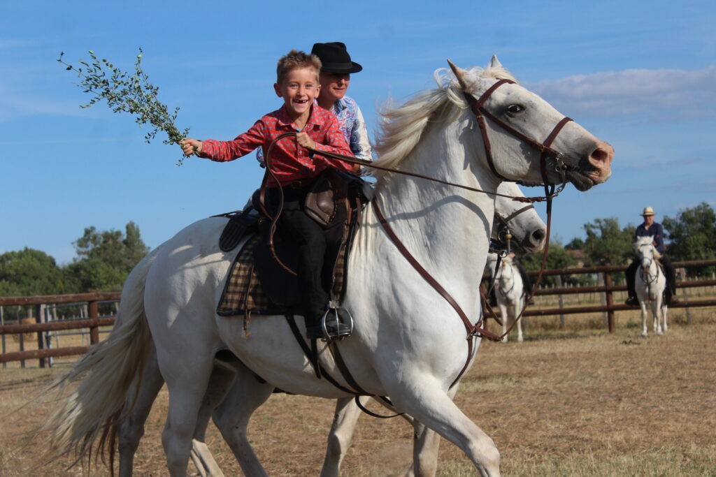 Visite manade Camargue